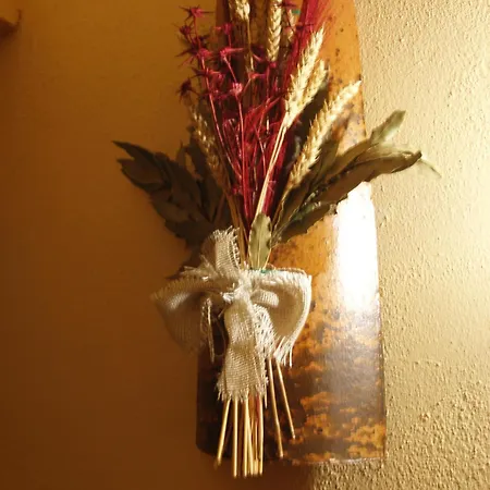 Rurales Angelita *